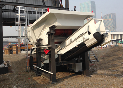 特级丰满少妇一级AAAA爱毛片