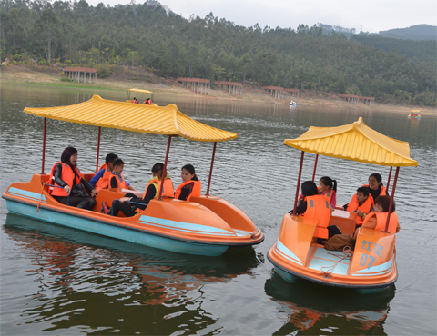 特级丰满少妇一级AAAA爱毛片