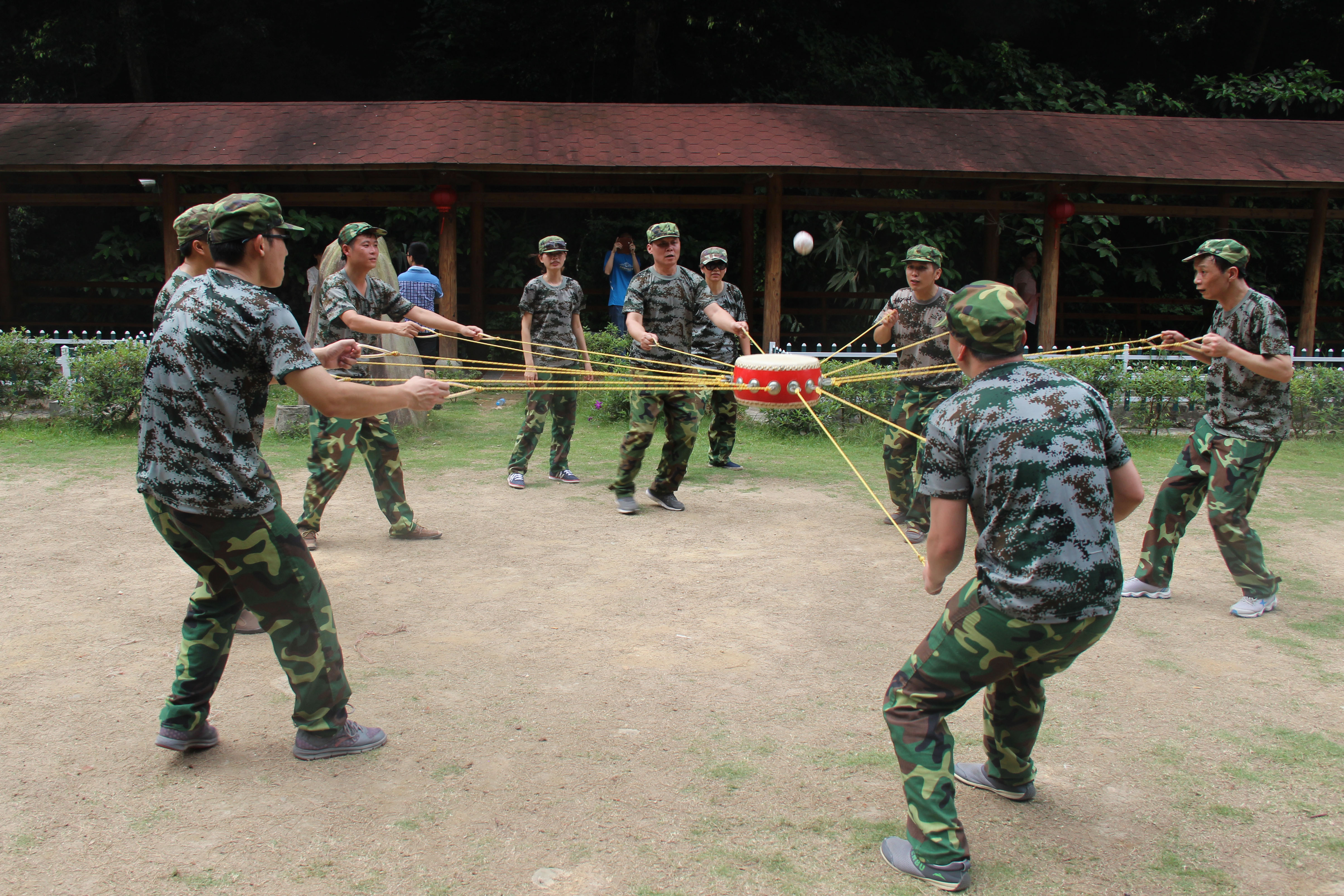 特级丰满少妇一级AAAA爱毛片