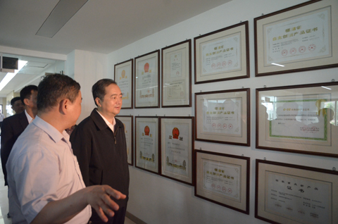 特级丰满少妇一级AAAA爱毛片