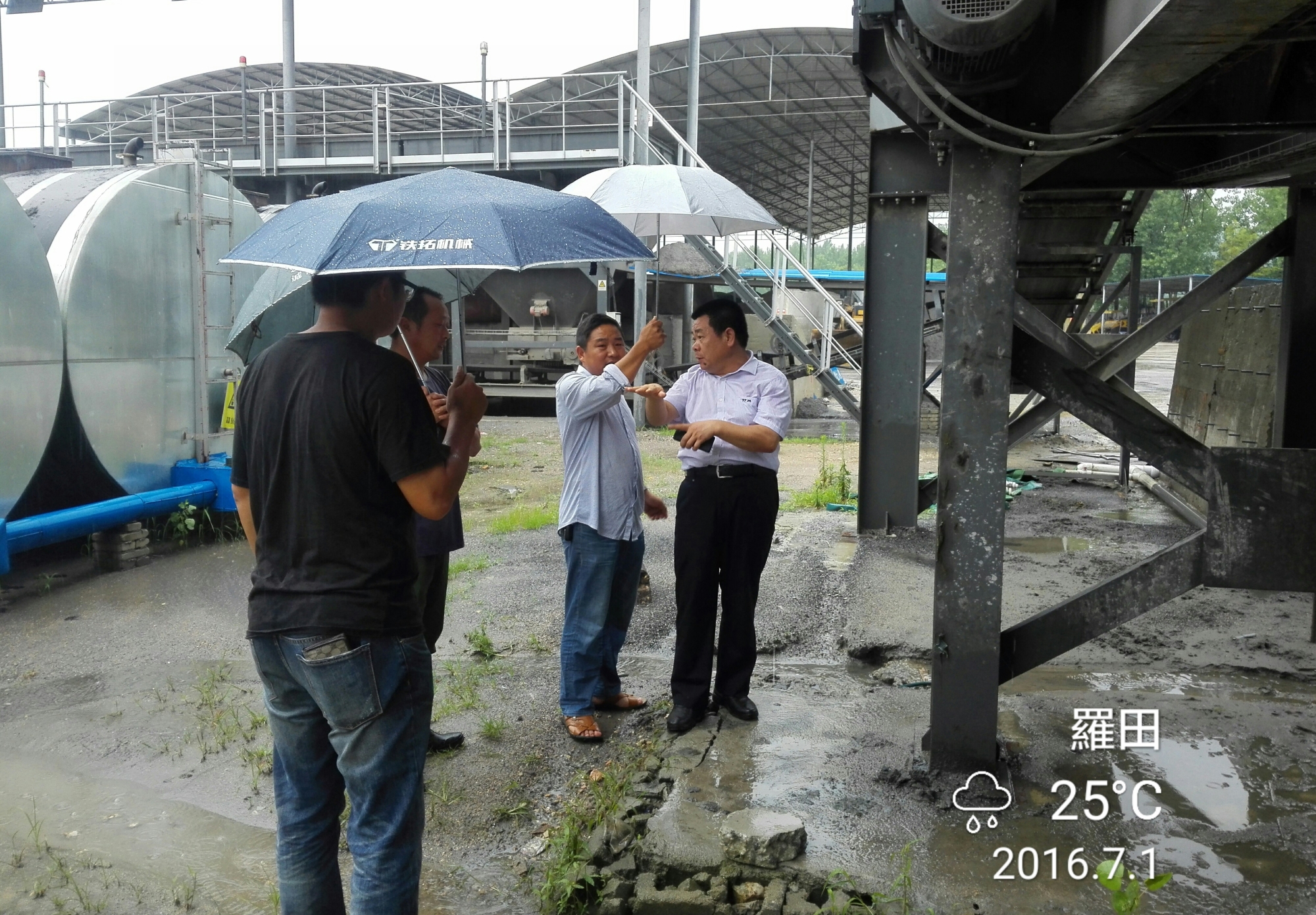 特级丰满少妇一级AAAA爱毛片