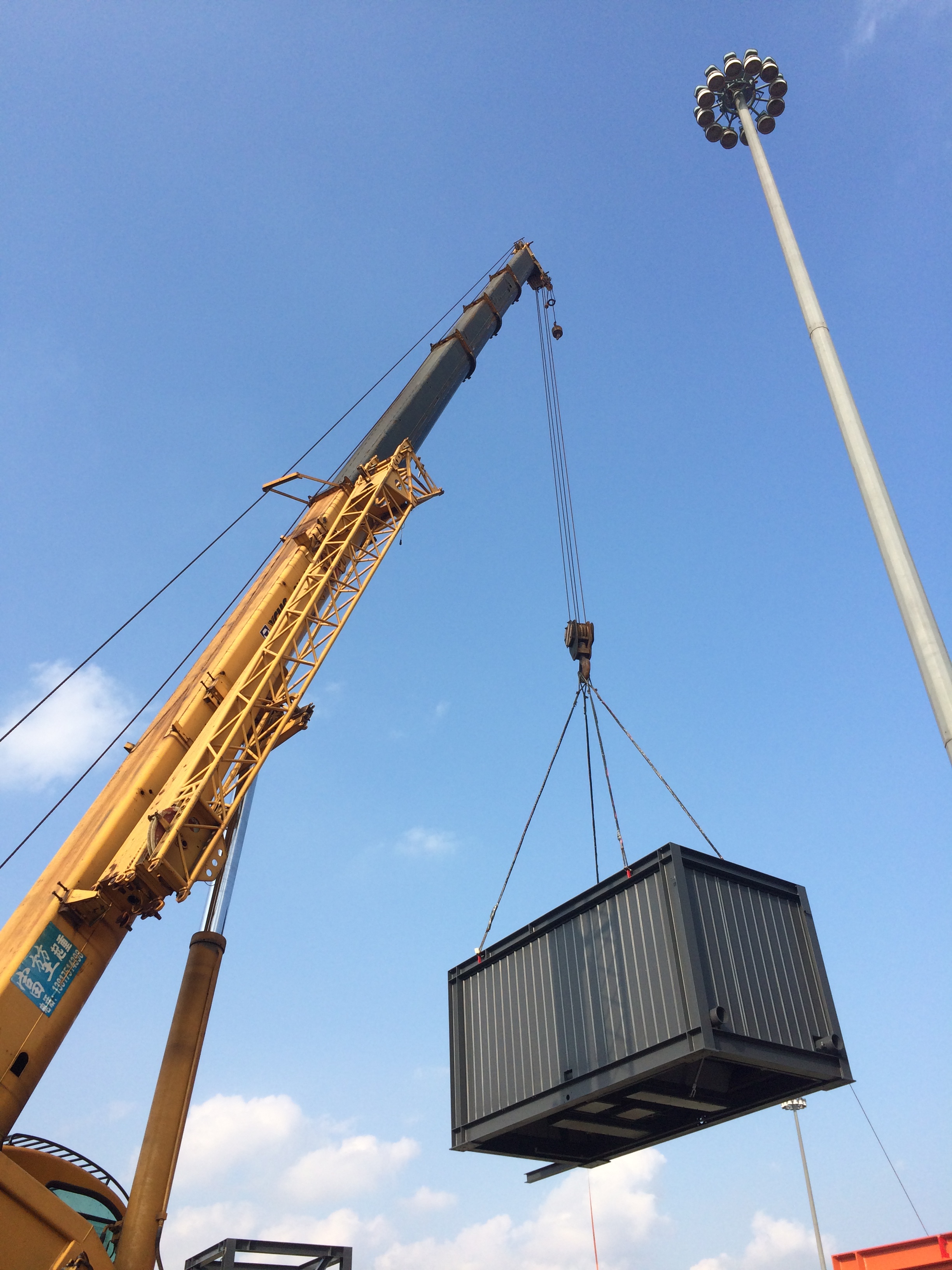 特级丰满少妇一级AAAA爱毛片