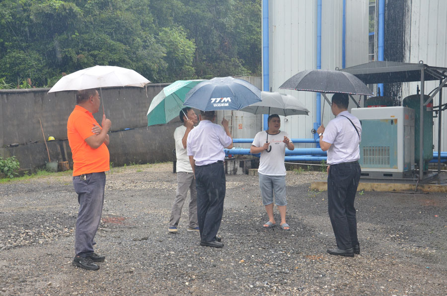 特级丰满少妇一级AAAA爱毛片