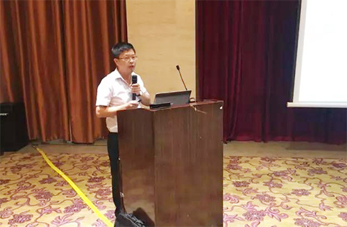 特级丰满少妇一级AAAA爱毛片