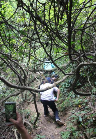 特级丰满少妇一级AAAA爱毛片