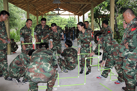 特级丰满少妇一级AAAA爱毛片