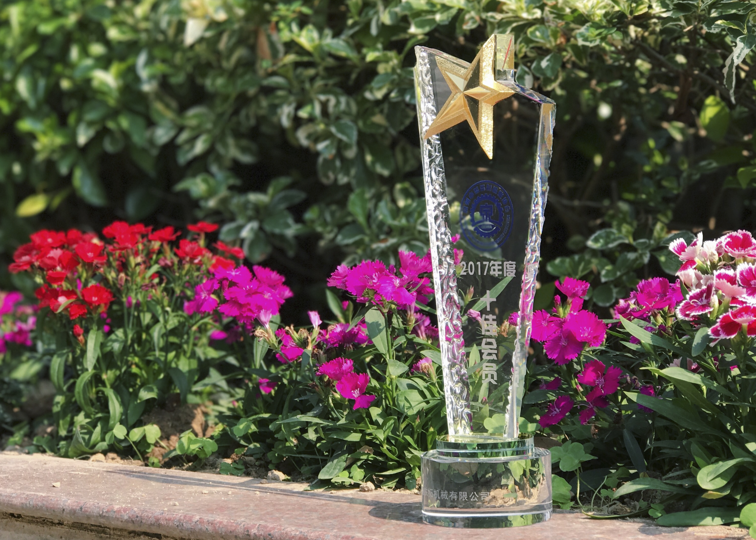 特级丰满少妇一级AAAA爱毛片