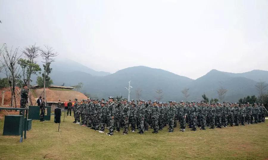 特级丰满少妇一级AAAA爱毛片