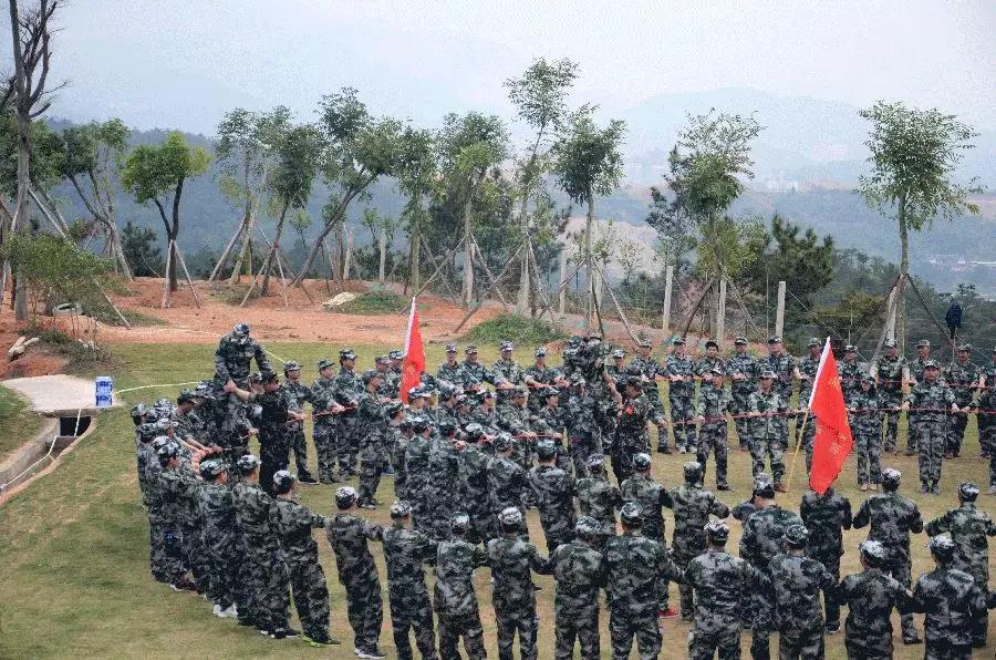 特级丰满少妇一级AAAA爱毛片