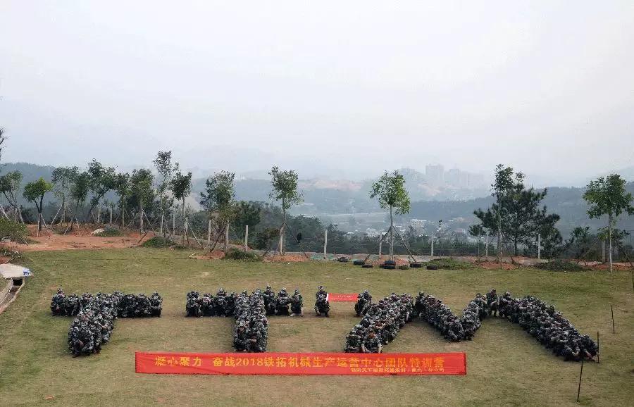 特级丰满少妇一级AAAA爱毛片