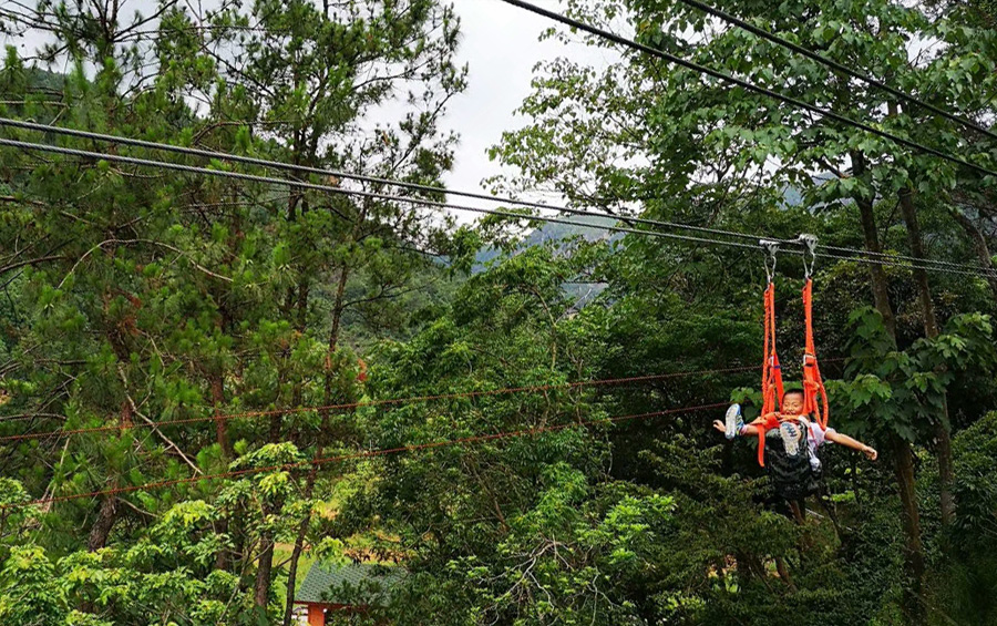 特级丰满少妇一级AAAA爱毛片